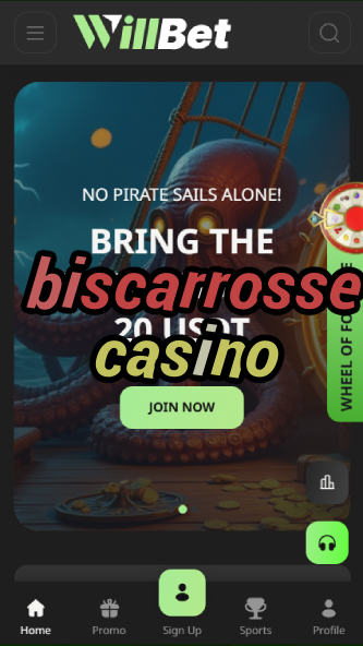 biscarrosse casino-asdasdzhjkds.com