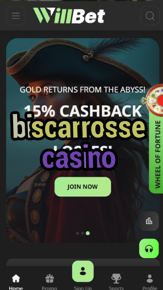 biscarrosse casino-asdasdzhjkds.com