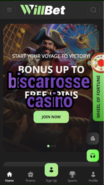 biscarrosse casino-asdasdzhjkds.com